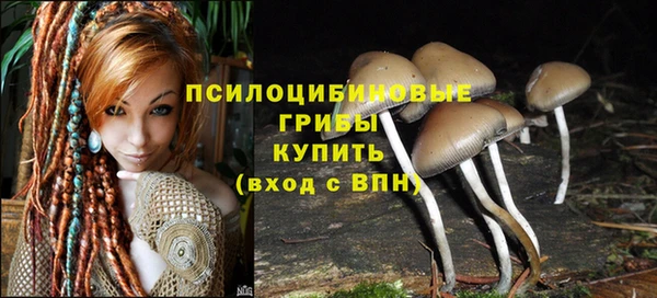 MESCALINE Снежинск