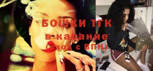 амф Слюдянка