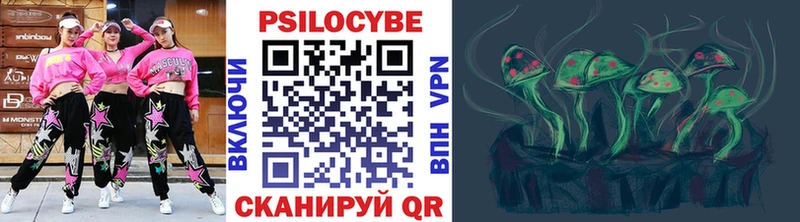 Псилоцибиновые грибы Psilocybe  Купить где  Воронеж 